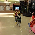DSC09386.jpg