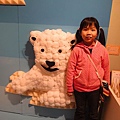 DSC00660.jpg