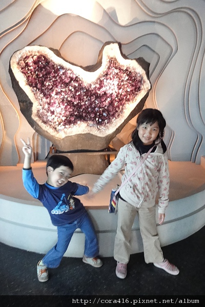 DSC01550.jpg