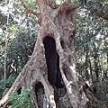 DSC00851.jpg