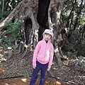 DSC00856.jpg