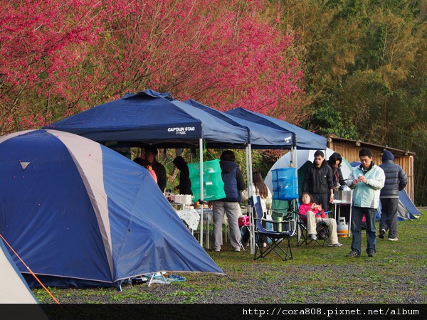 120211_鳥嘴山 - 078.jpg