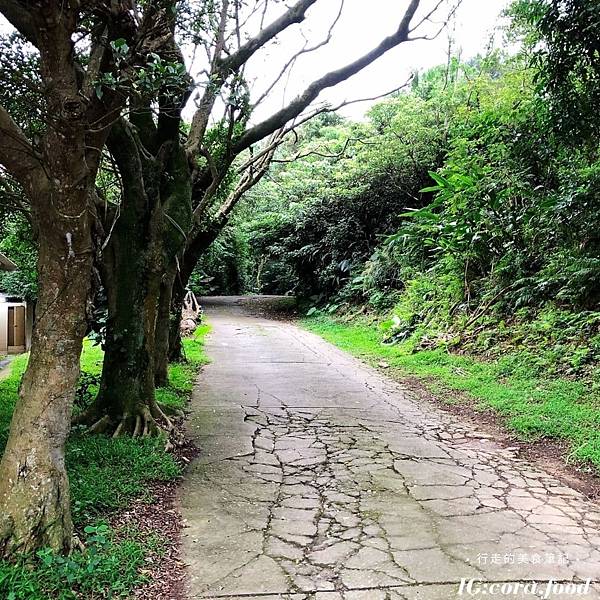 阿輝山休閒農場/阿輝山有機農莊/林口阿輝山土雞城