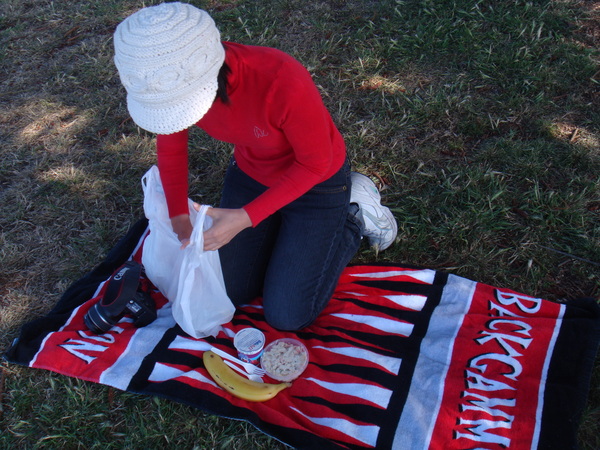 picnic in shark fishing town