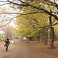 井之頭公園好大~~~走很一會才到吉祥寺站