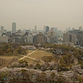 大阪城登高遠眺