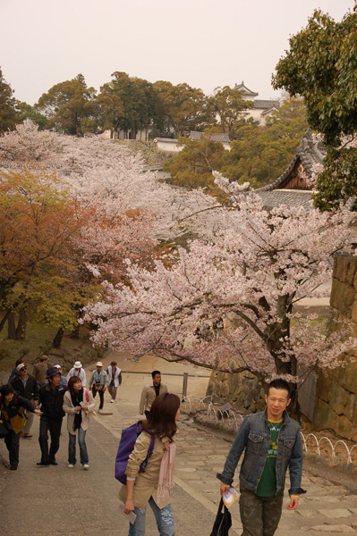 姬路城內一景