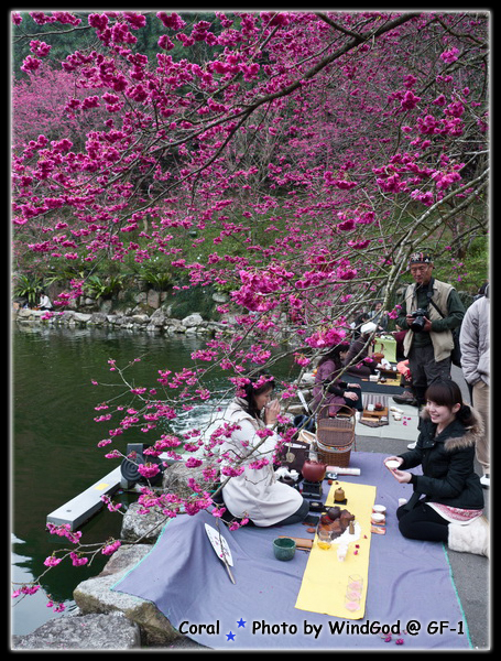 好像品茶大會喔