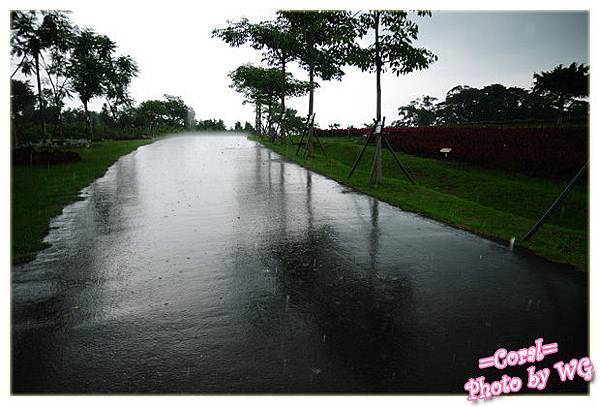 霹靂趴啦下大雨囉!!