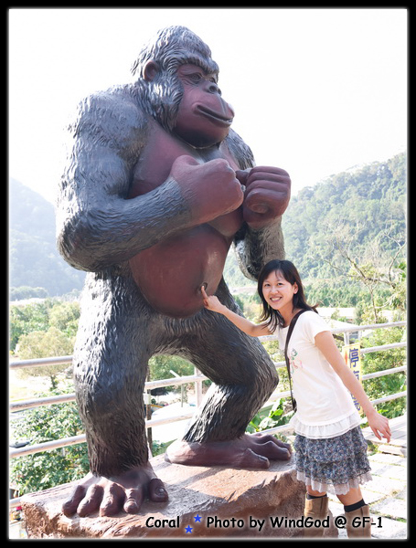 搓大猩猩的大肚臍