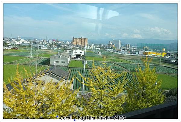 感受到濃濃的秋味