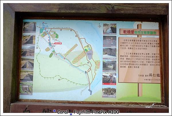 軟橋里自然生態景觀池