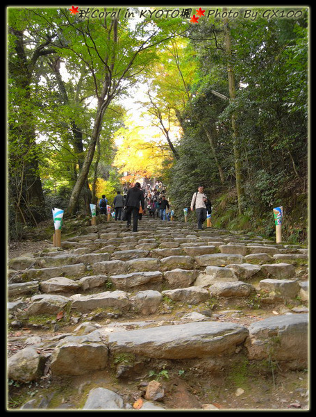 神護寺要小爬一點路