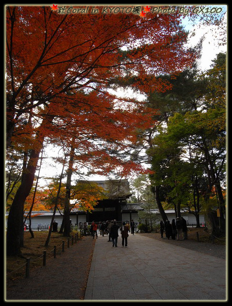 去年和紅中來也是傍晚時刻