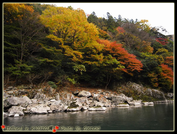 有機會到嵐山多準備點摳摳遊保津川