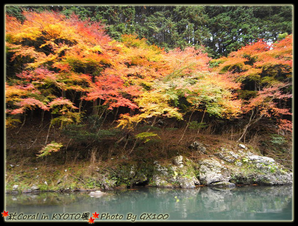 嵐山楓紅囉!!