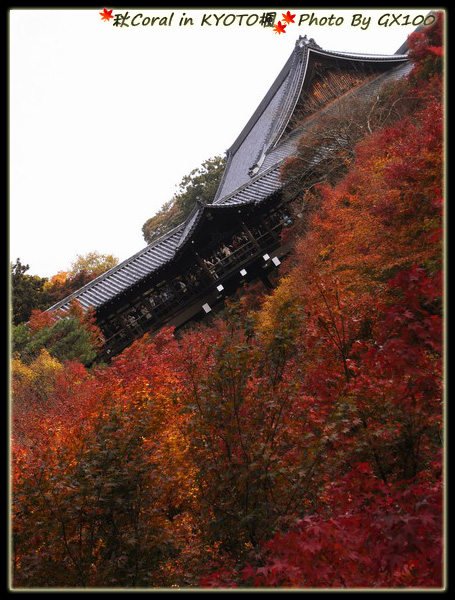 千辛萬苦擠到前頭拍照:p