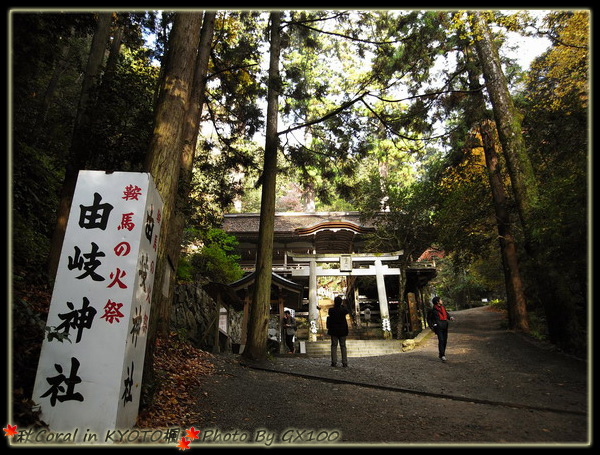 上次錯過的由岐神社火祭