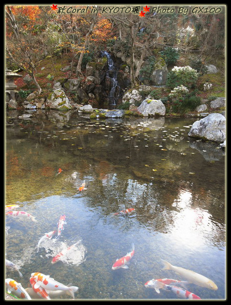 日式庭園景致