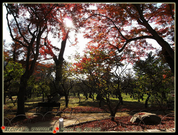 邊吃點心邊賞風景