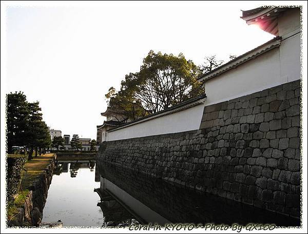 櫻花季二条城有ライトアップ