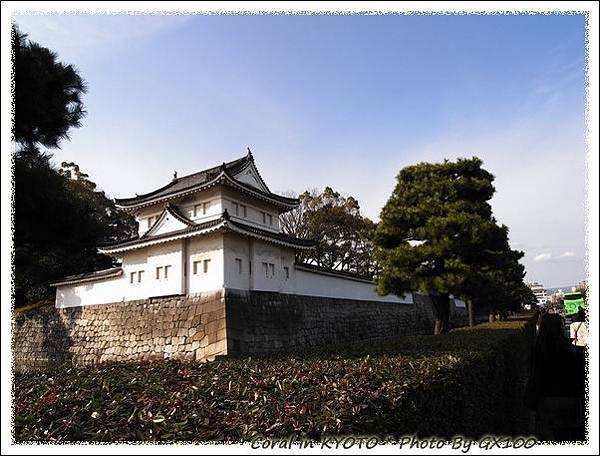 櫻花季還有剩閒錢再來賞櫻花吧!!