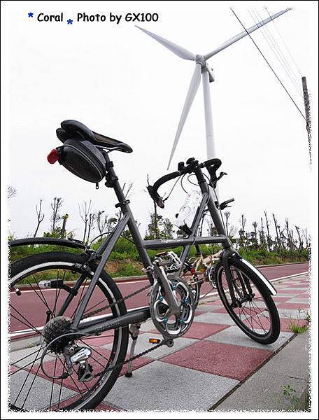 少了籃天...可惜呀!!