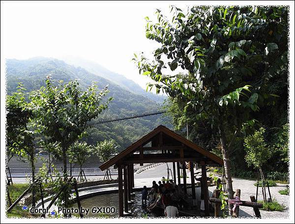 等等去走高吊橋