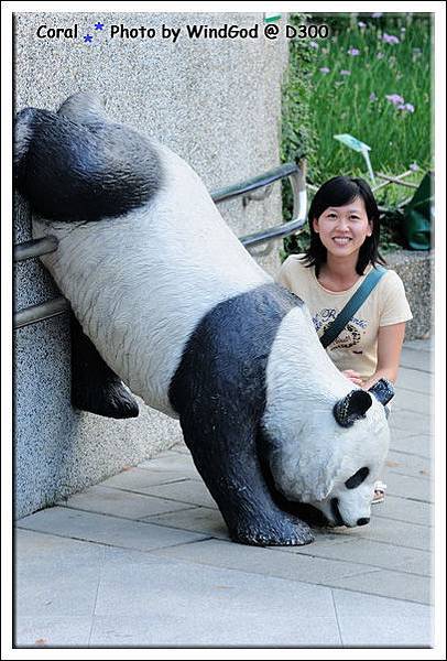 和假熊貓拍拍照也好