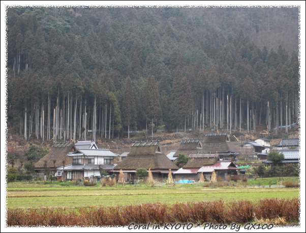 美山合掌聚落