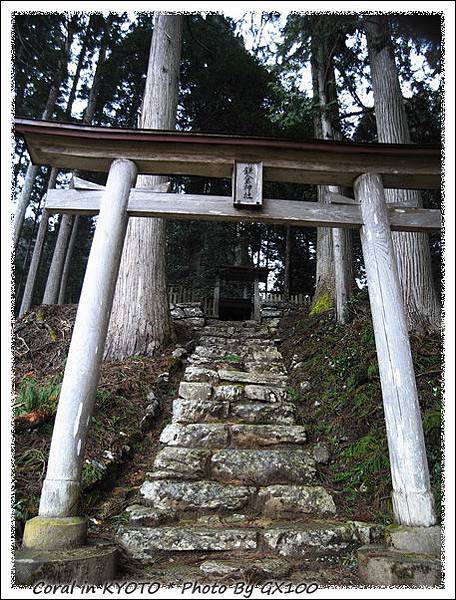 鎌倉神社...