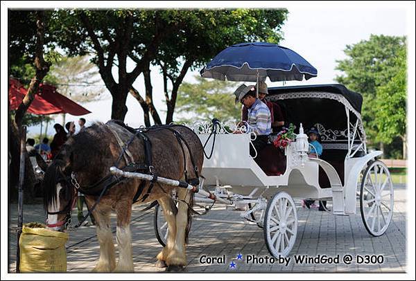 搭馬車不知道是怎樣的感覺...