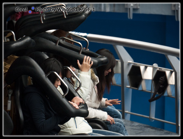 這些勇敢的遊客XD