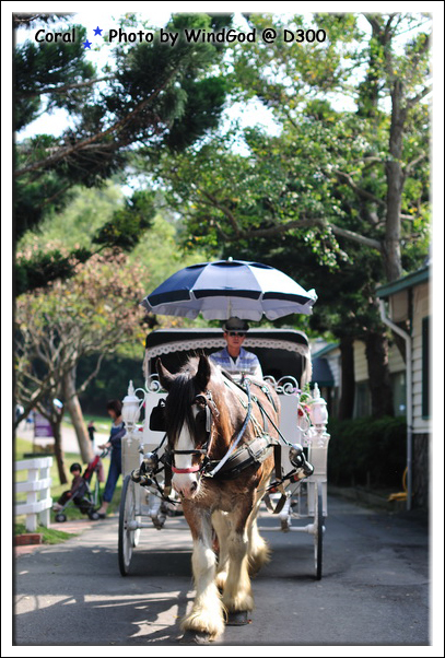 馬車來囉!!