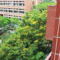 May 2003
