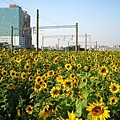 IMG_2221.JPG