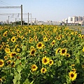 IMG_2223.JPG
