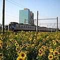 IMG_2225.JPG