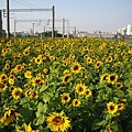 IMG_2226.JPG