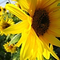 IMG_2233.JPG
