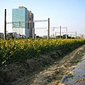 IMG_2242.JPG