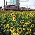 IMG_2248.JPG