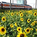 IMG_2250.JPG