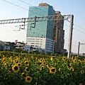 IMG_2279.JPG