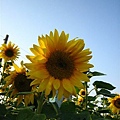 IMG_2299.JPG