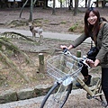 奈良公園12