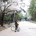 奈良公園13