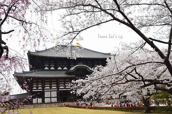 東大寺9