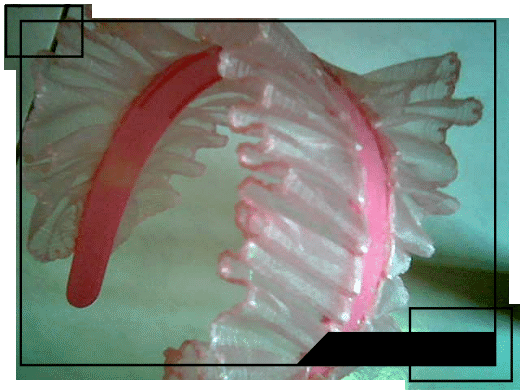 ◣Ragnarok◥　　　　　卡普拉髮圈