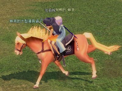 2008-03-29 第一次騎馬